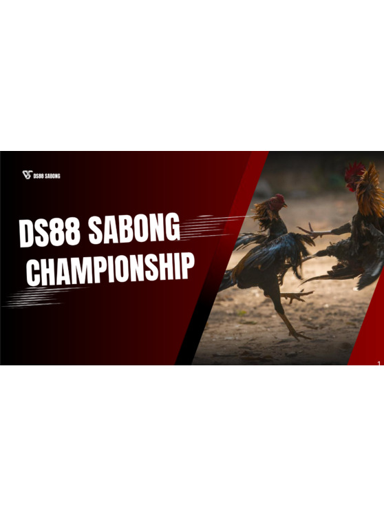 DS88 Sabong Championship